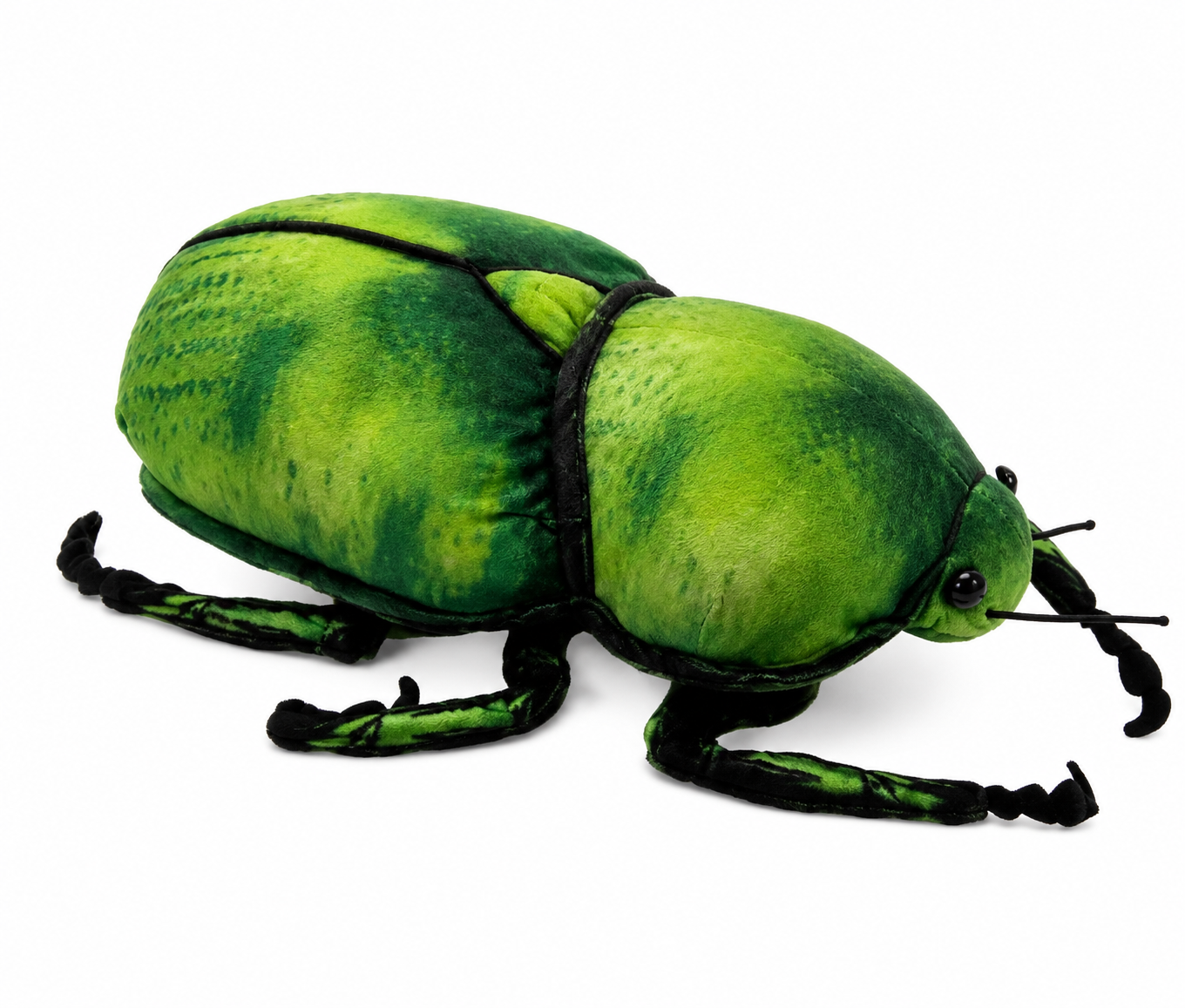 Cleo the Scarab Beetle
