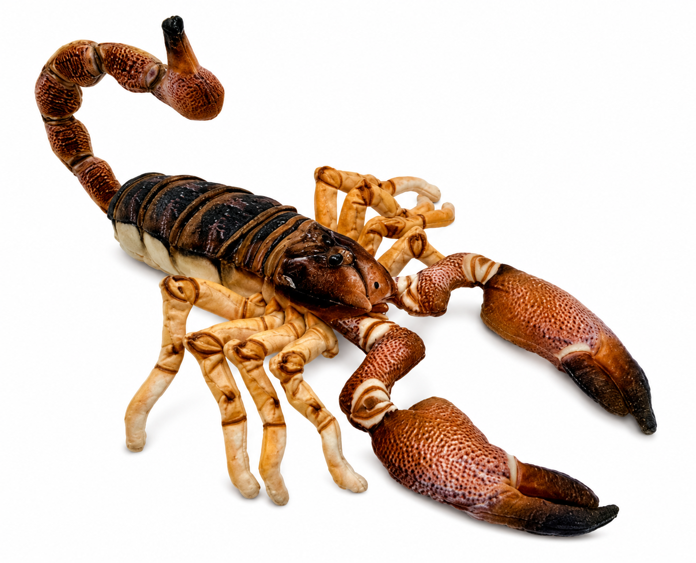 Spike the Scorpion