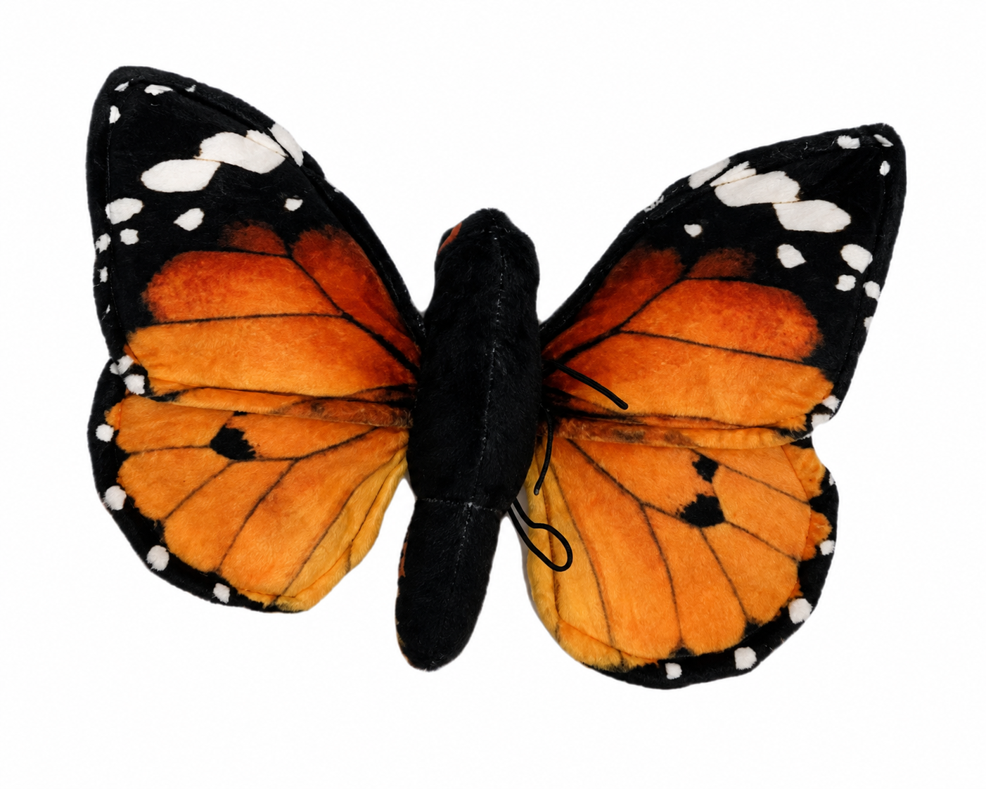 William the Butterfly