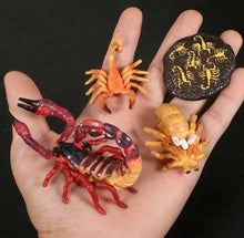 Load image into Gallery viewer, Scorpion Life Cycle Kit. Life cycle of Scorpions growth 4 stages.