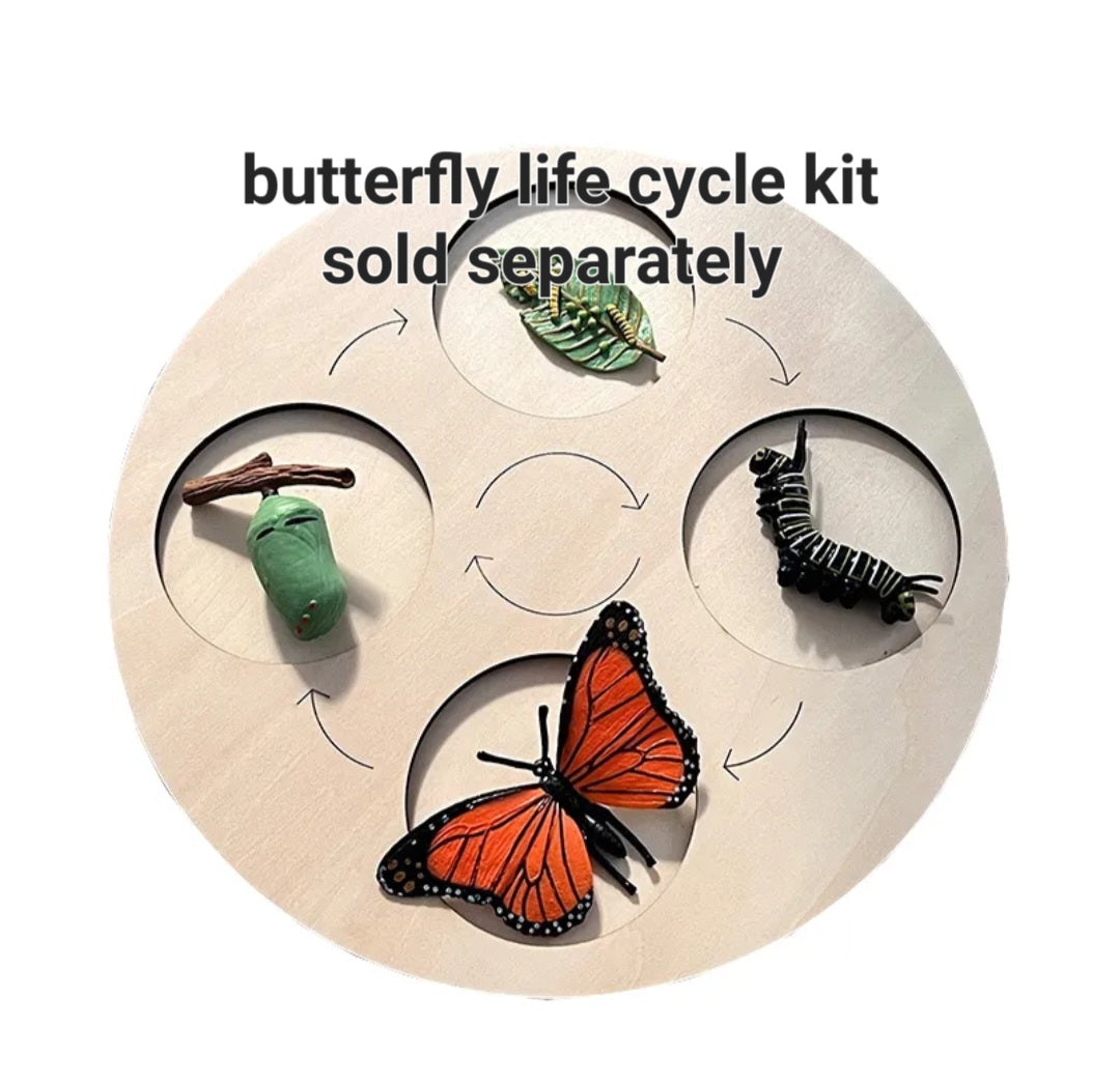Life Cycle Kit. Life cycle board for the 4 stages of growth.