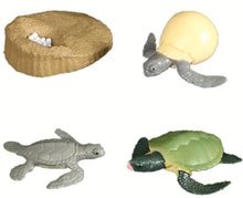 Load image into Gallery viewer, Sea Turtle Life Cycle Kit