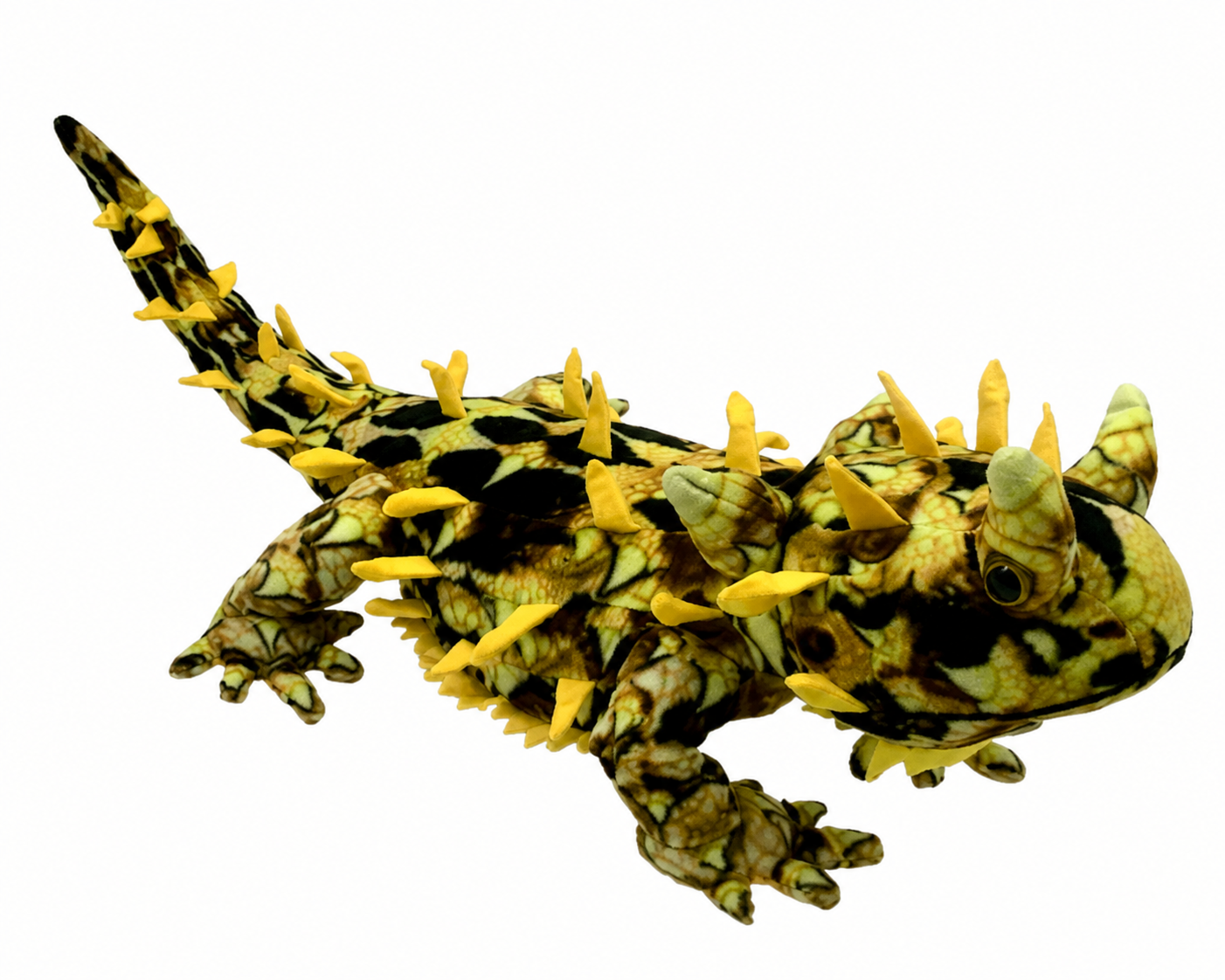 Marcus the Thorny Devil.