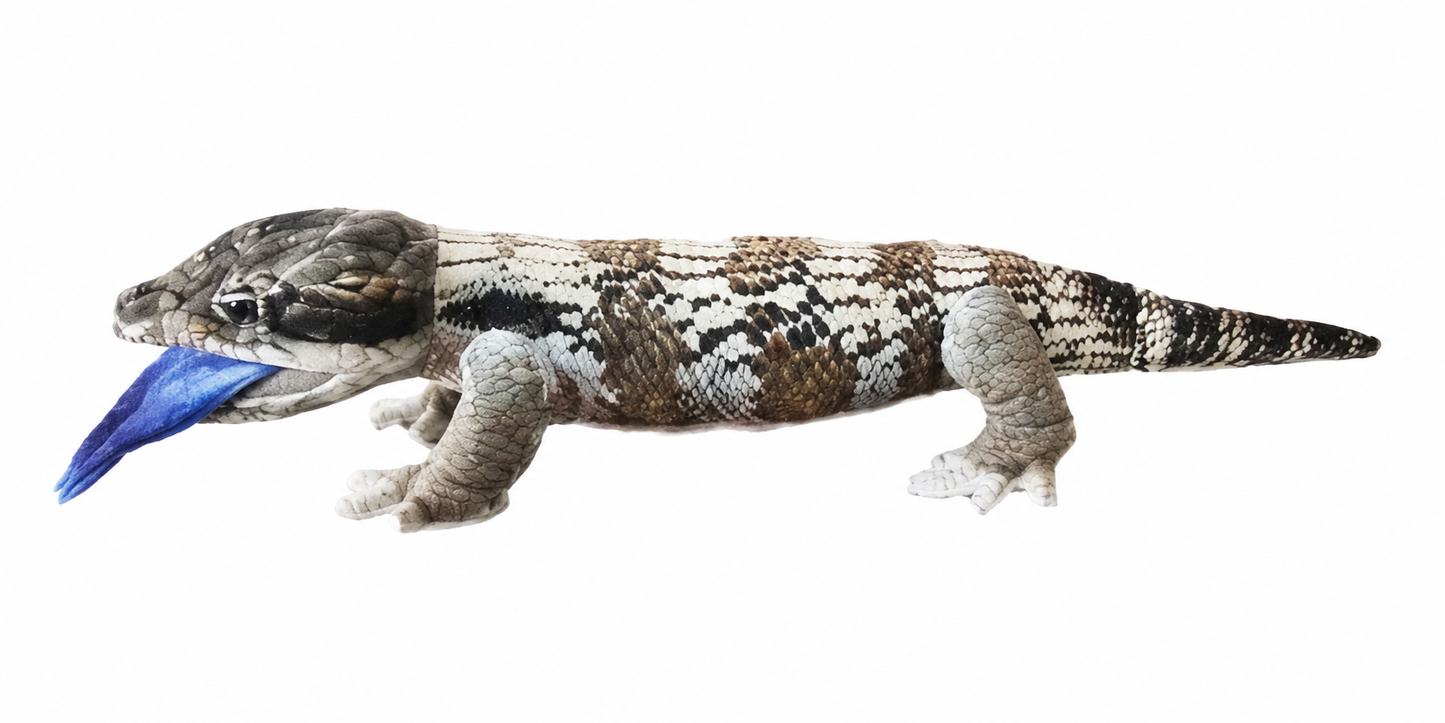 Jay Blue Tongue Skink