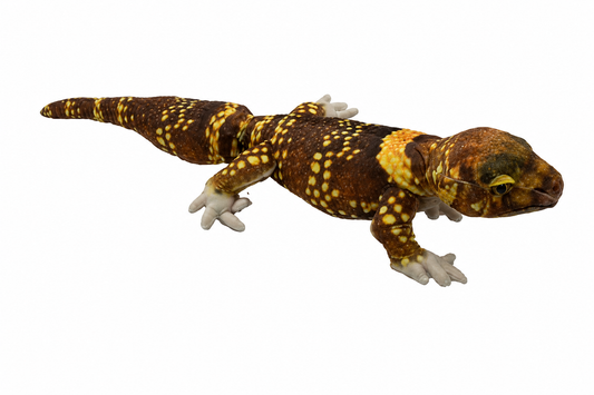 Bravo the Gecko