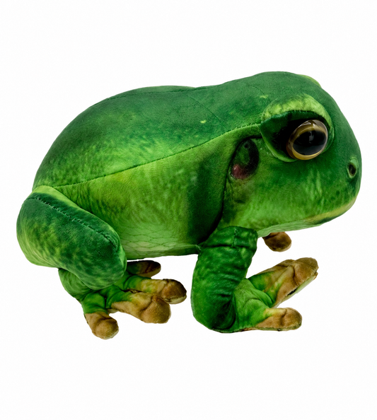 Francis the Frog