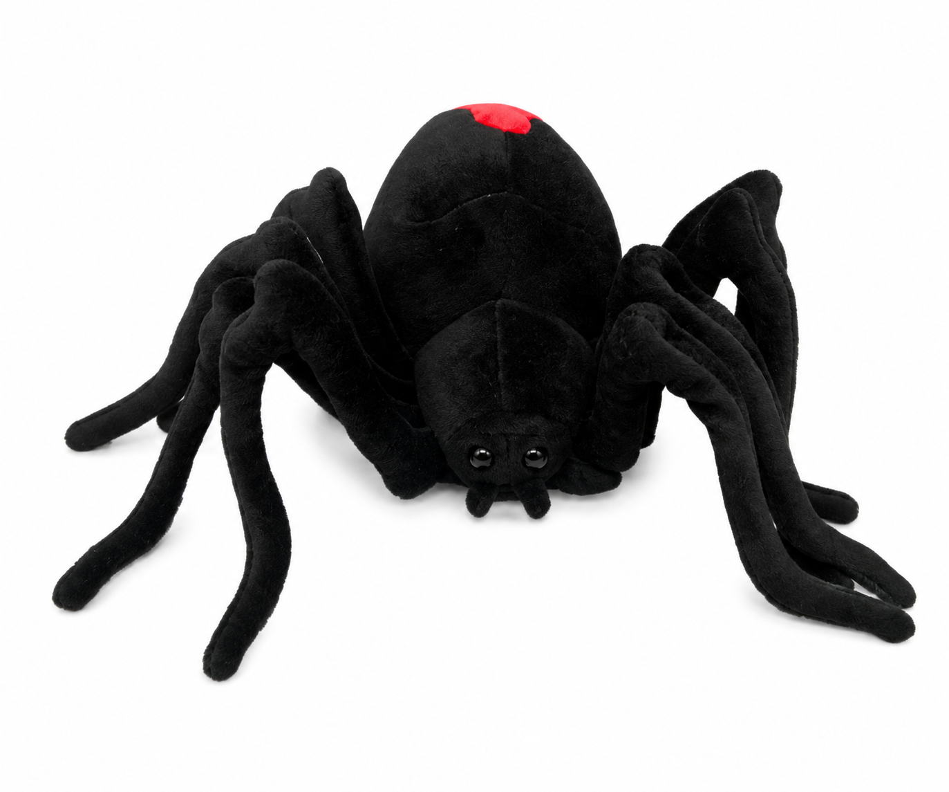 fang the Red Back Spider
