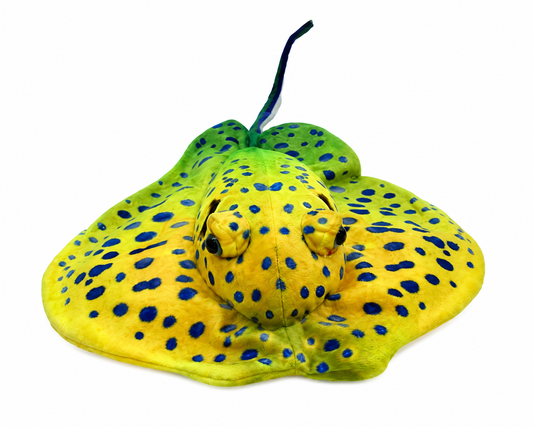 Solomon the Stingray