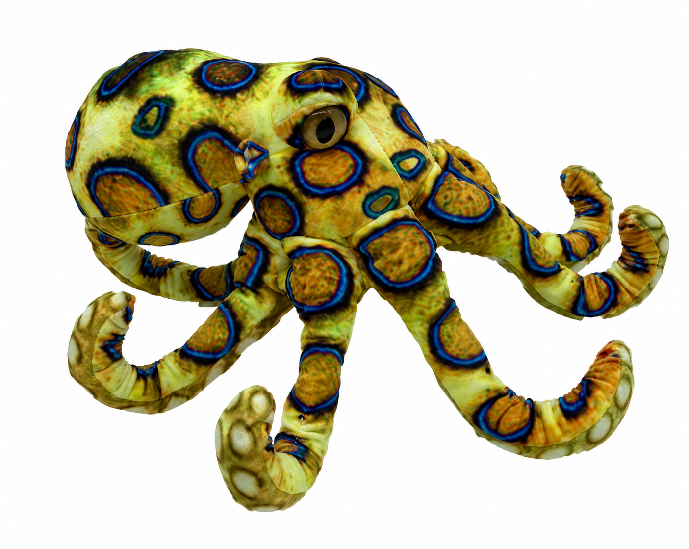 Octavio the Octopus