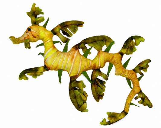 Lilly the Leafy Sea Dragon