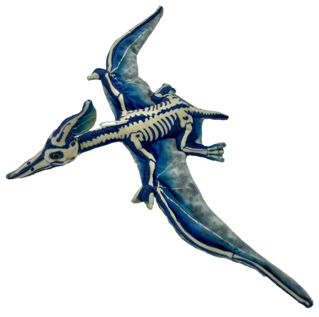 Terry Pterosaur