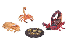 Load image into Gallery viewer, Scorpion Life Cycle Kit. Life cycle of Scorpions growth 4 stages.
