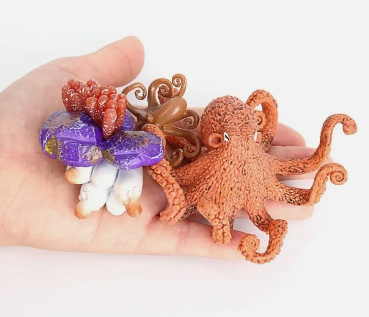 Octopus Life Cycle Kit – Just Dream Productions