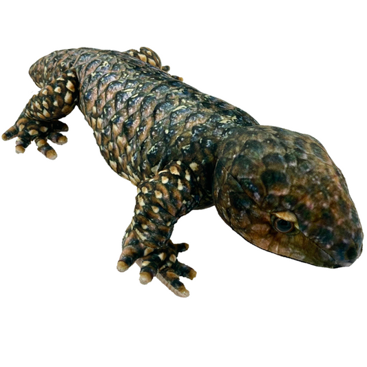 Bob the Shingleback